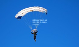 禁赛风波席卷体坛，明星选手遭重罚，联盟公正性引热议