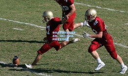 安切洛蒂盛赞皇马赛季表现，球队已臻卓越，阿隆索无可挑剔