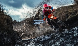 世界杯签证政策引关注，白宫强调安全审查与体育精神并重