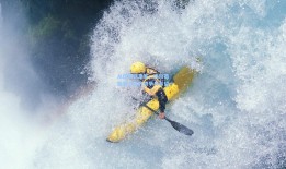 从伤病到重生，运动员康复之路的艰辛与希望