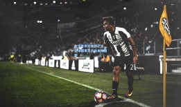 女子体育迎来新纪元，全球赛事亮点与未来展望