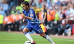 球迷文化新浪潮，从看台到社区，体育精神如何重塑城市凝聚力