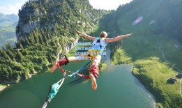 世界杯参赛次数榜揭示足球王朝底蕴，巴西23次领跑彰显桑巴王国永恒统治力