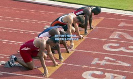 德约科维奇再创历史 温网夺冠追平传奇纪录