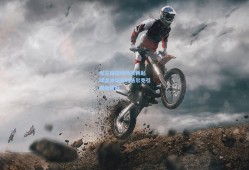 埃兰路球场风波再起 球迷冲场对峙法尔克引安全质疑